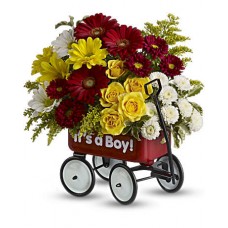 Baby's Wow Wagon by Teleflora - Boy